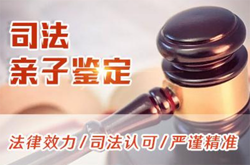 阜新司法DNA亲子鉴定的流程,阜新司法亲子鉴定收费需要多少钱