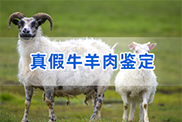 阜新羊类动物鉴定
